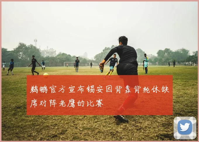 鹈鹕官方宣布锡安因背靠背轮休缺席对阵老鹰的比赛