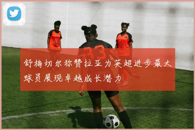 舒梅切尔称赞拉亚为英超进步最大球员展现卓越成长潜力
