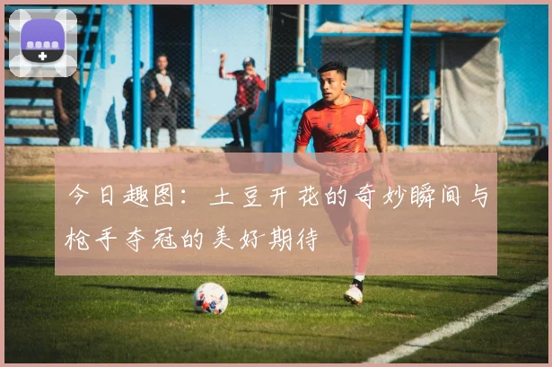 今日趣图：土豆开花的奇妙瞬间与枪手夺冠的美好期待