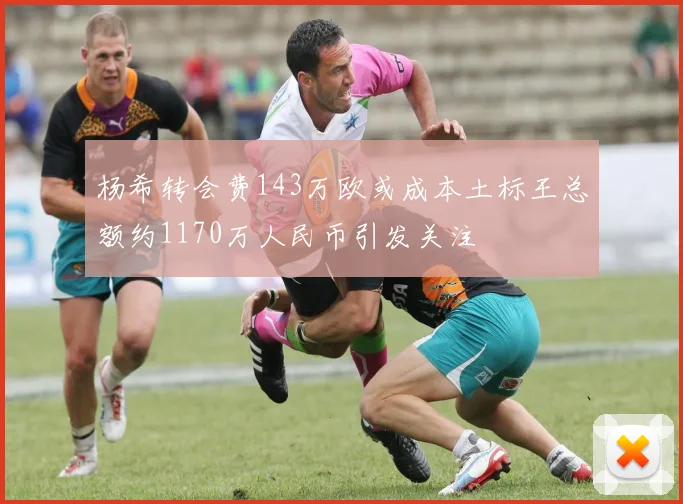 杨希转会费143万欧或成本土标王总额约1170万人民币引发关注