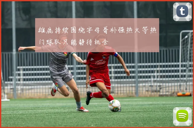 雄鹿持续围绕字母哥补强热火等热门球队只能静待机会